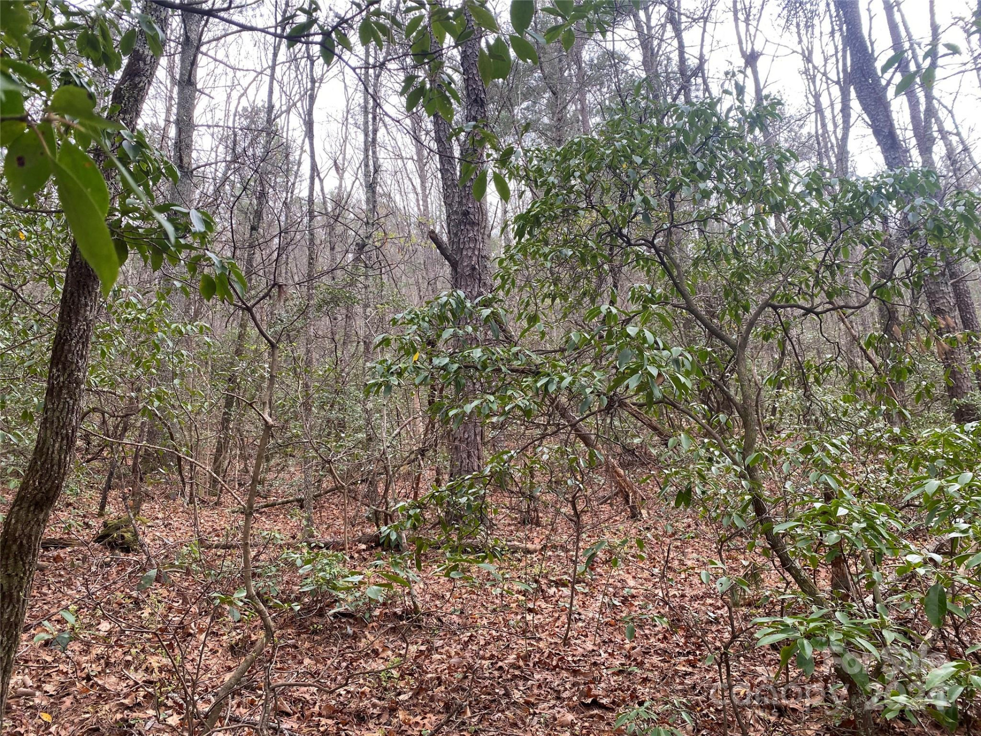 Lot 11 Fox Ridge Trail - Photo 8