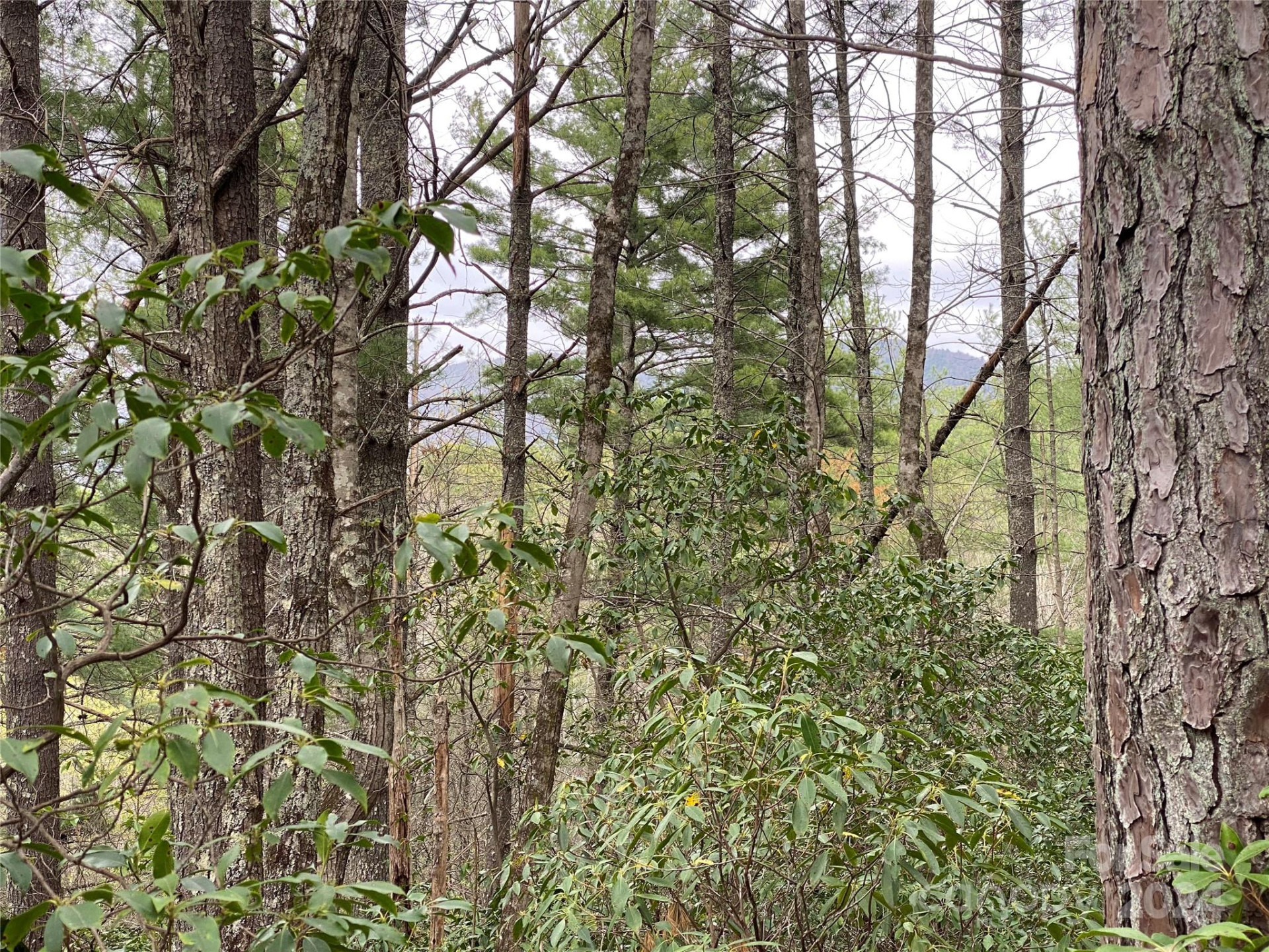 Lot 11 Fox Ridge Trail - Photo 9