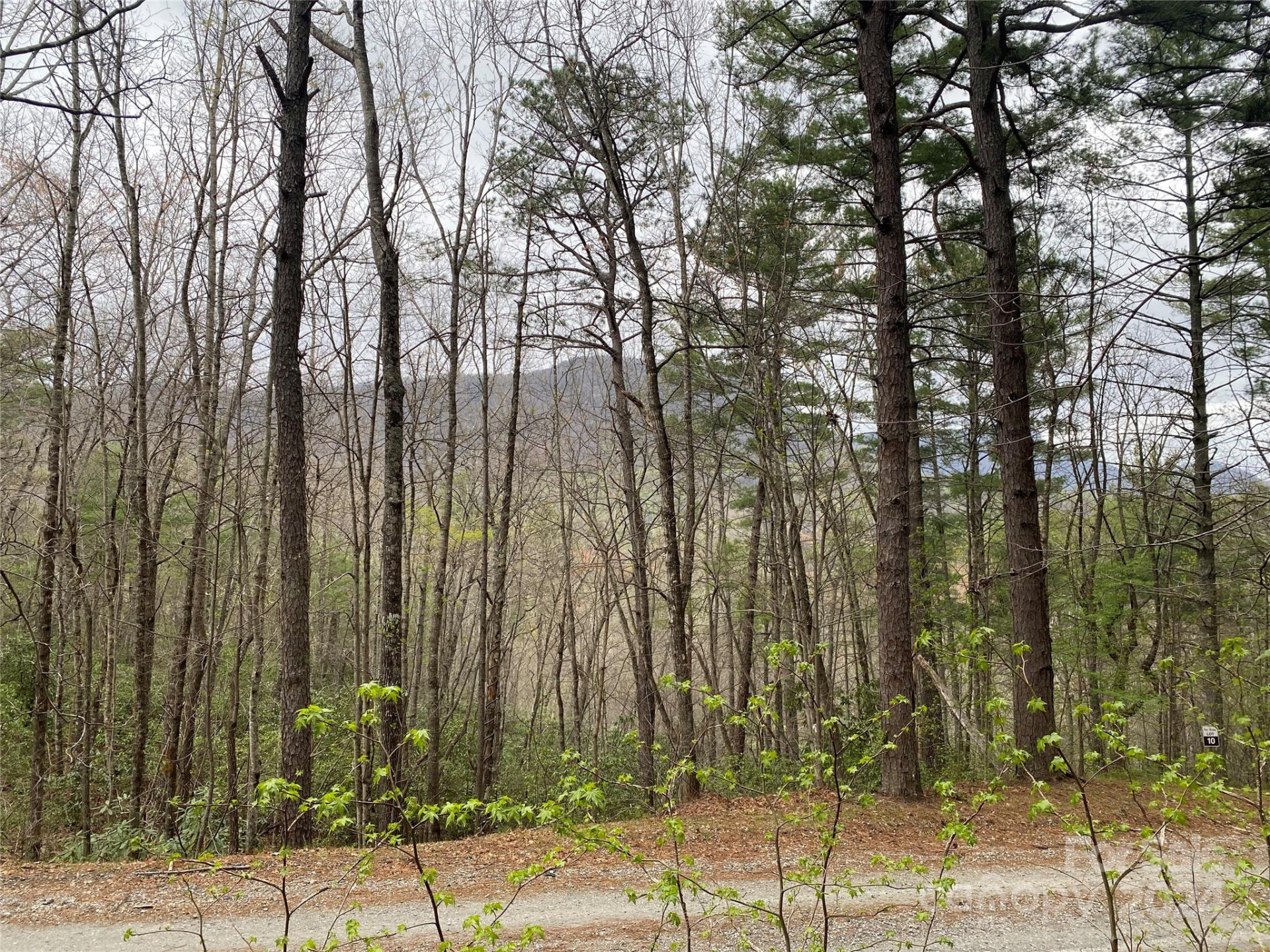 Lot 11 Fox Ridge Trail - Photo 10