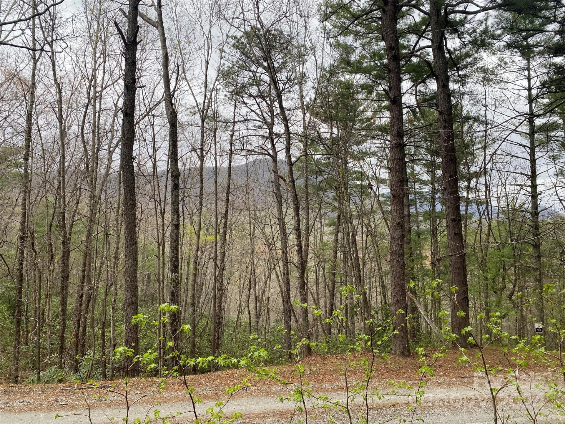 Lot 11 Fox Ridge Trail - Photo 10