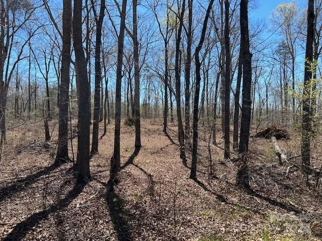 0 Walkaloosa Way #19 - Photo 2