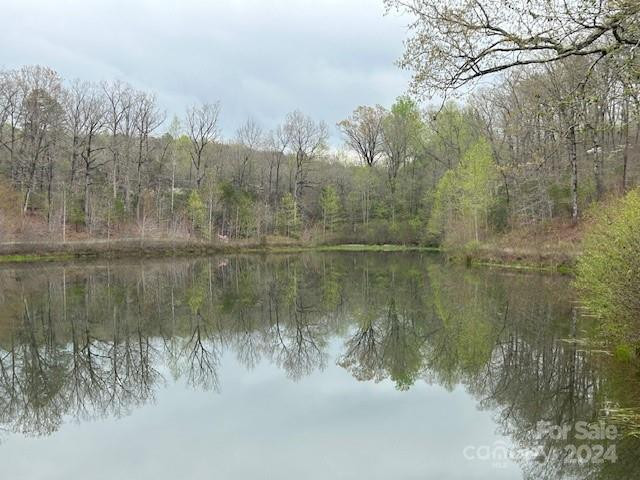 0 Walkaloosa Way #19 - Photo 3