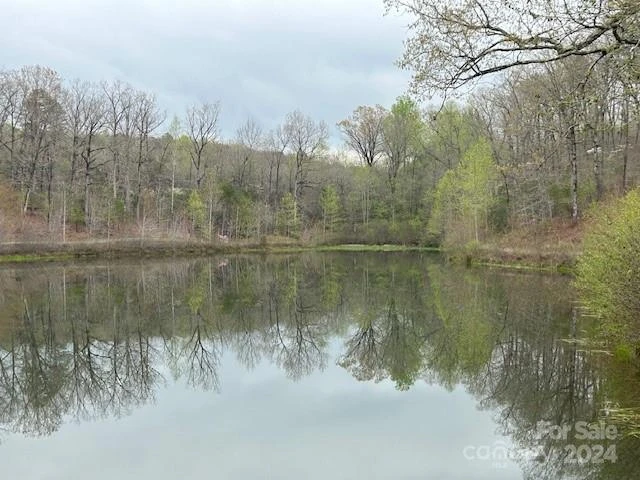0 Walkaloosa Way #19 - Photo 3