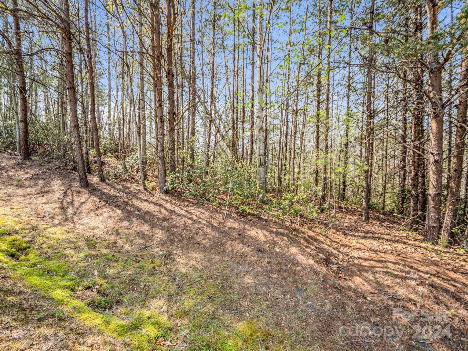 0 Chestertown Drive - Photo 8