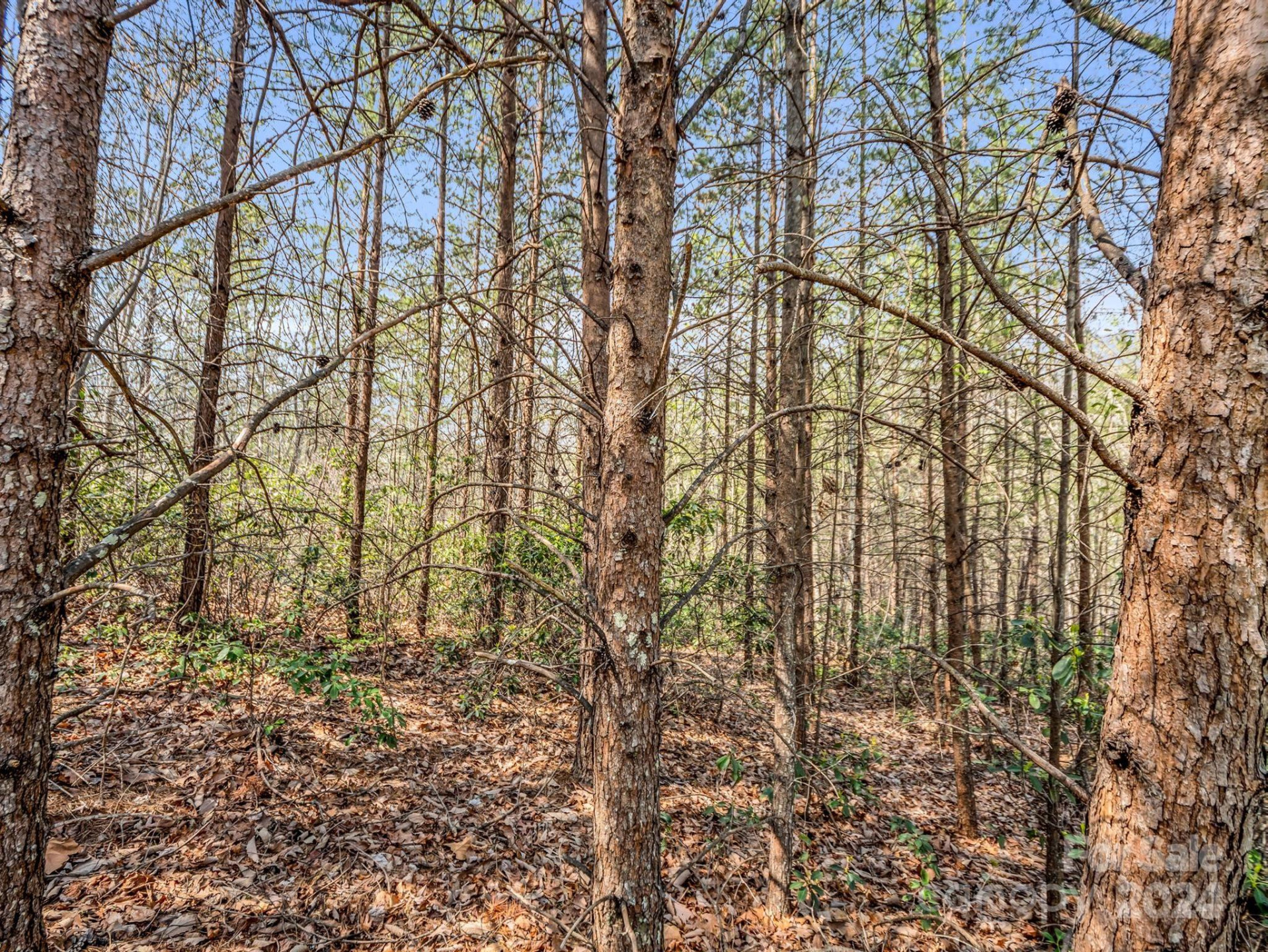 0 Chestertown Drive - Photo 9