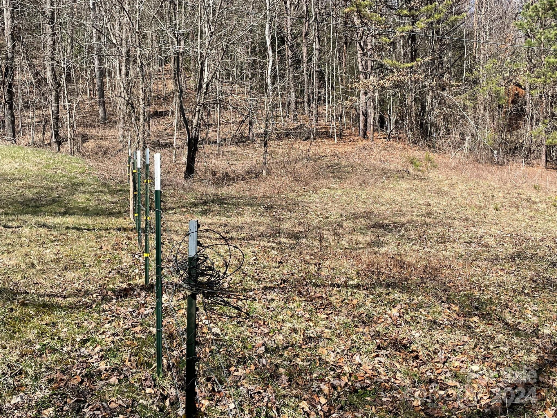 81 Peepeye Cove Road - Photo 11