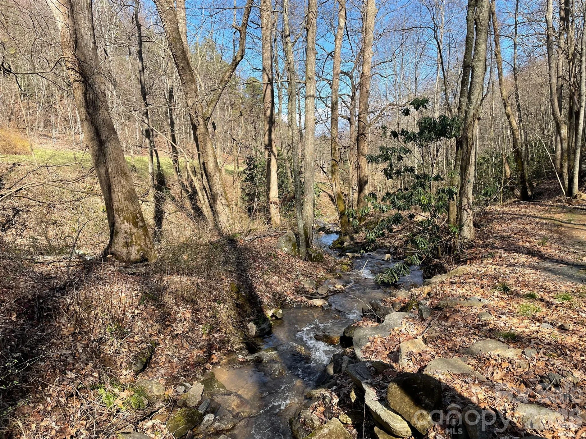 81 Peepeye Cove Road - Photo 23