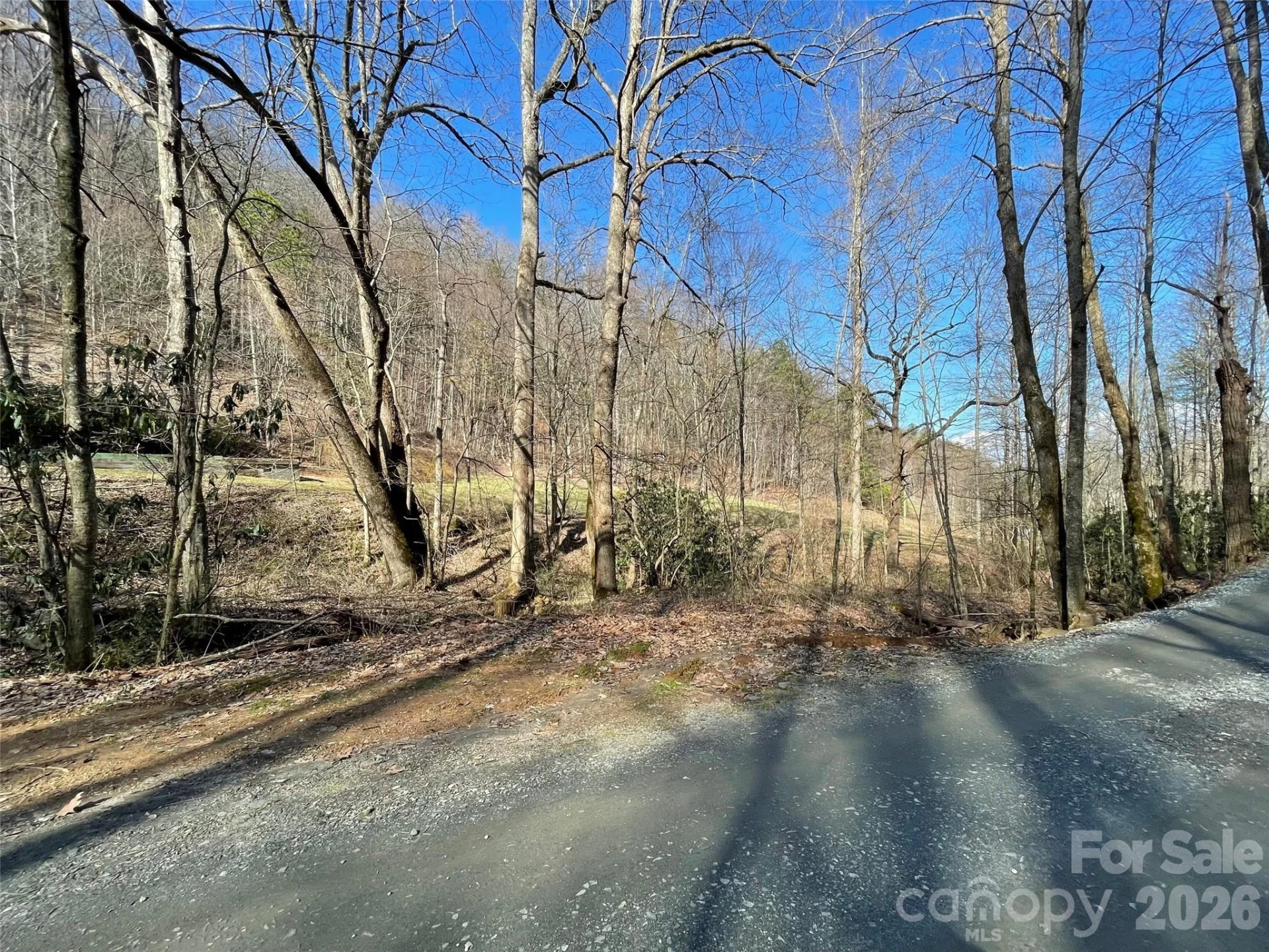 81 Peepeye Cove Road - Photo 25
