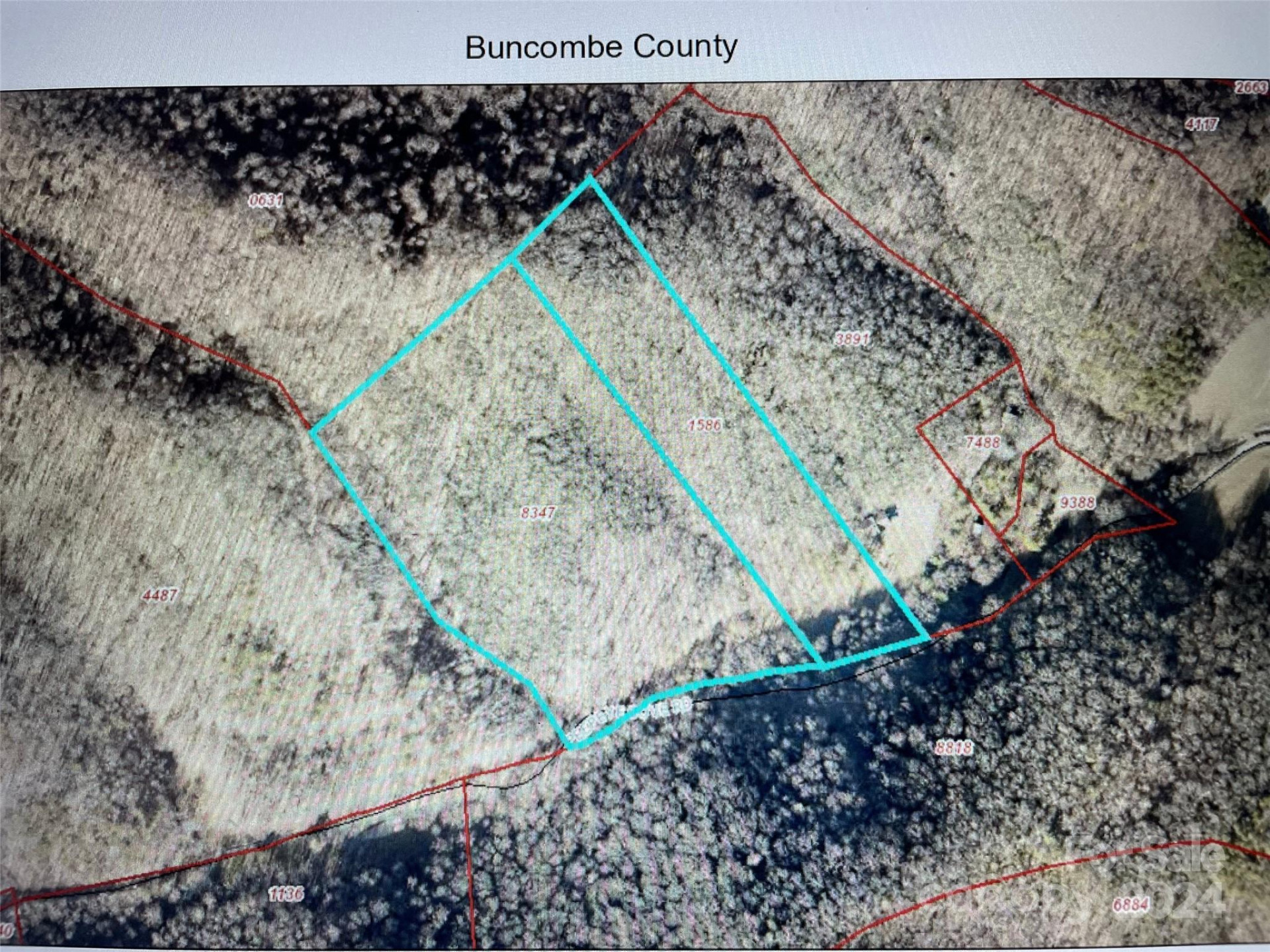 81 Peepeye Cove Road - Photo 14