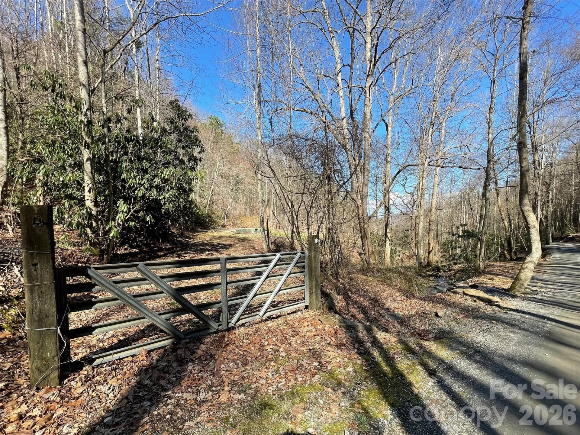 81 Peepeye Cove Road - Photo 7