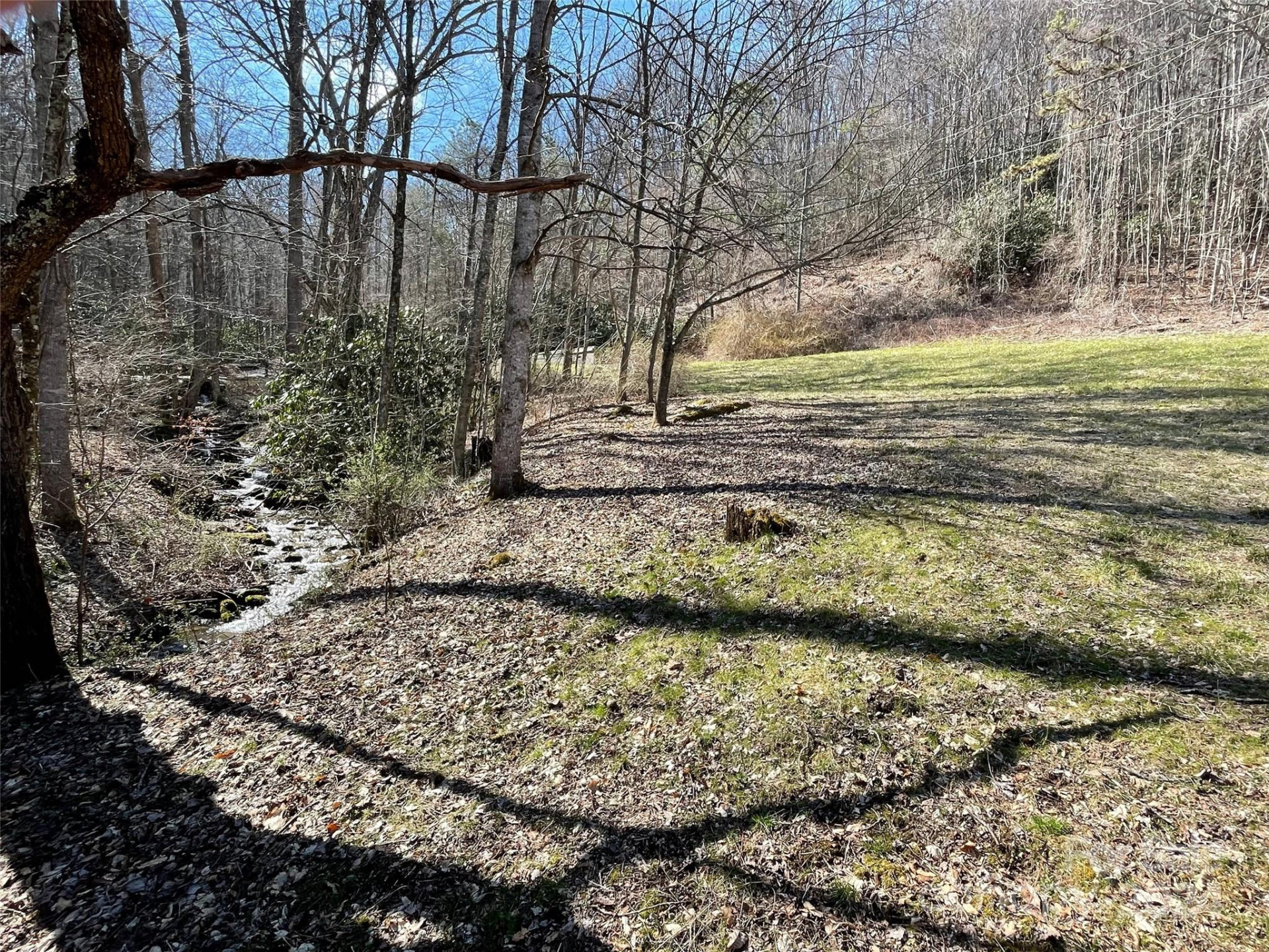 81 Peepeye Cove Road - Photo 5