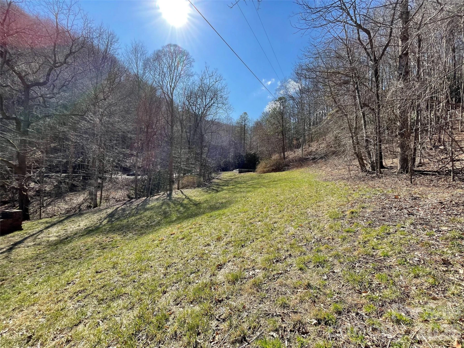 81 Peepeye Cove Road - Photo 13
