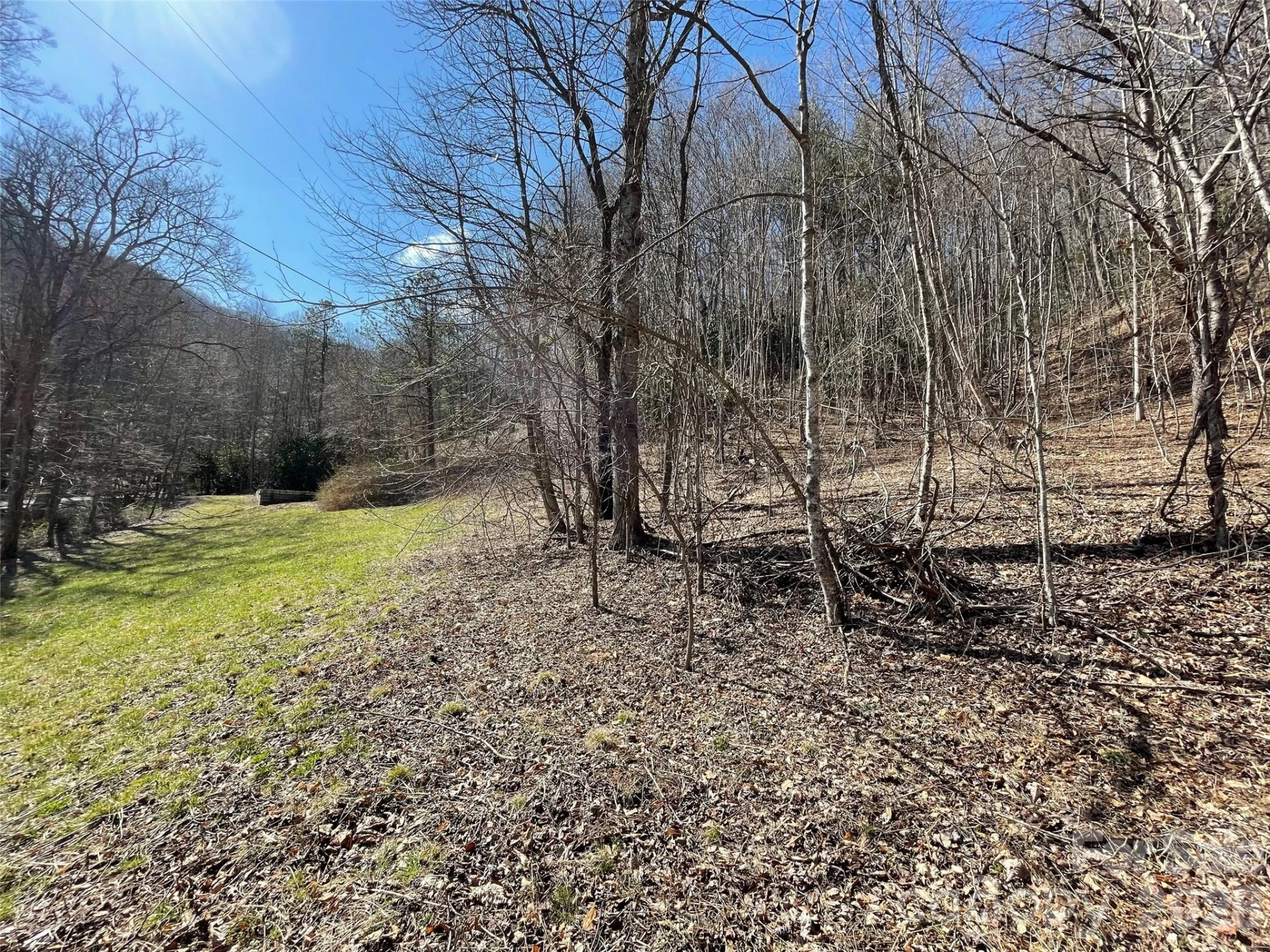 81 Peepeye Cove Road - Photo 17
