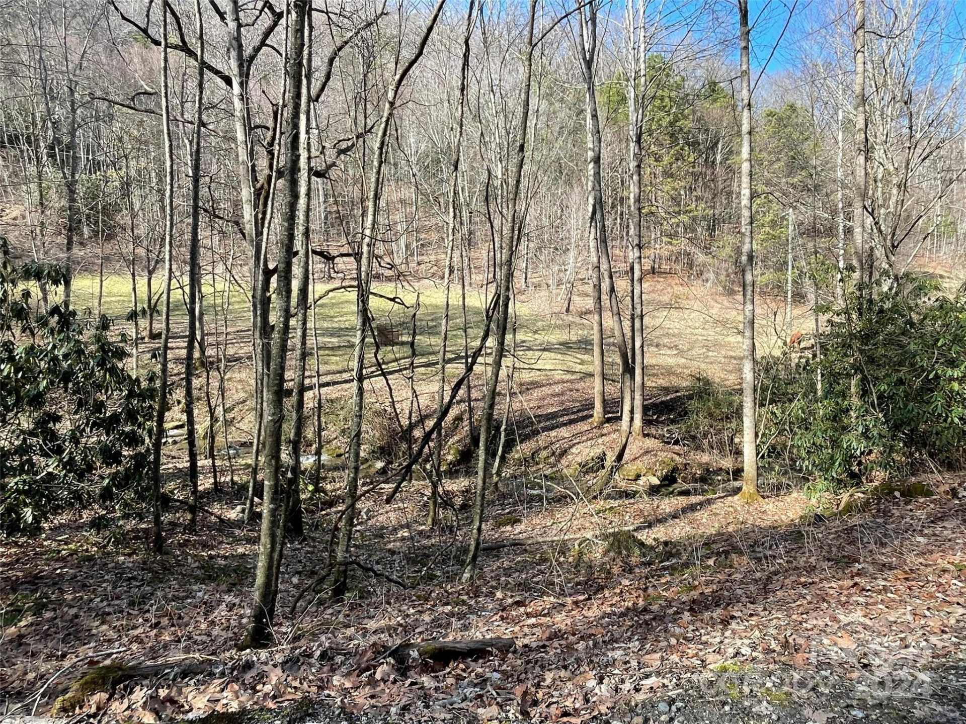 81 Peepeye Cove Road - Photo 10