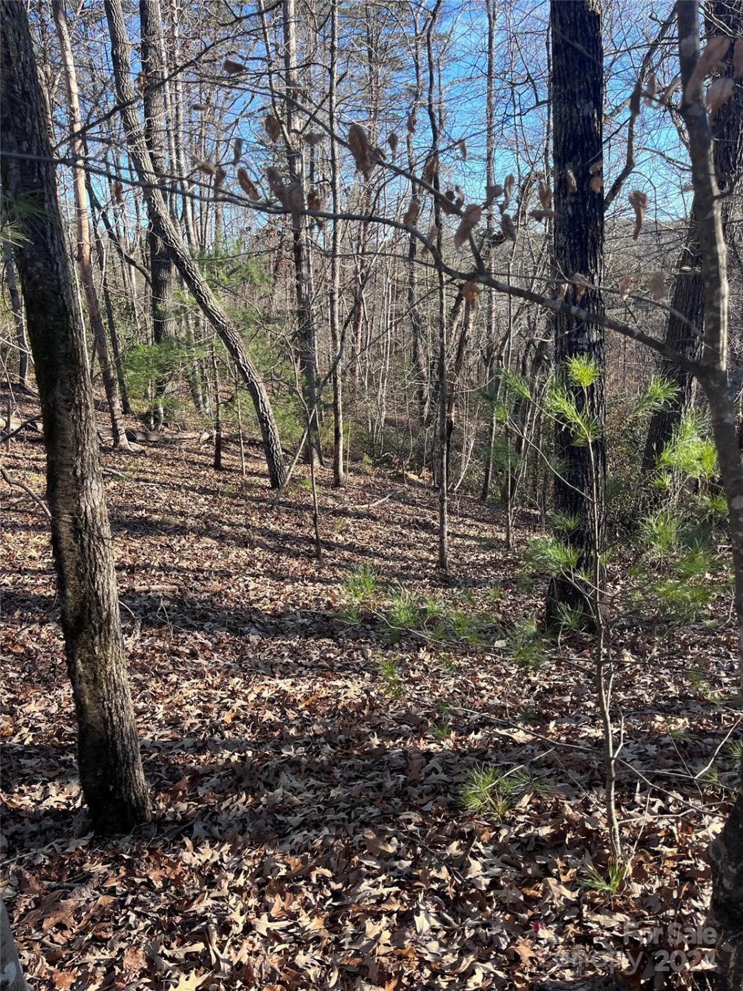 0 Sparrows Way #68 - Photo 2