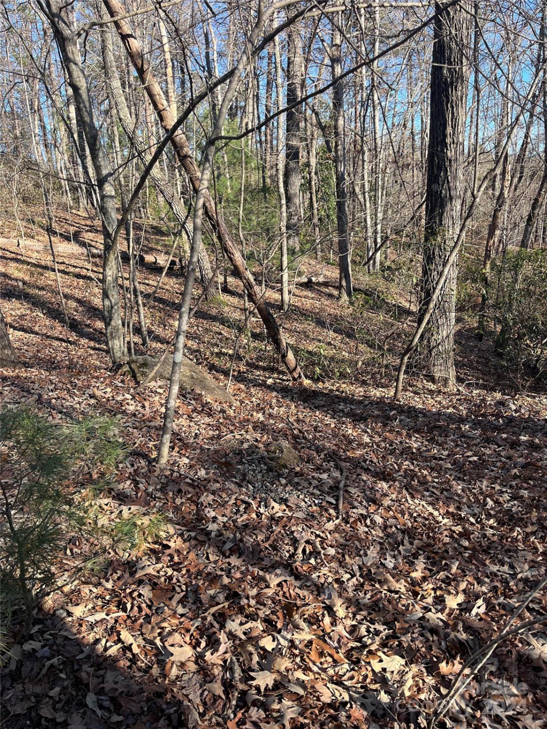 0 Sparrows Way #68 - Photo 11