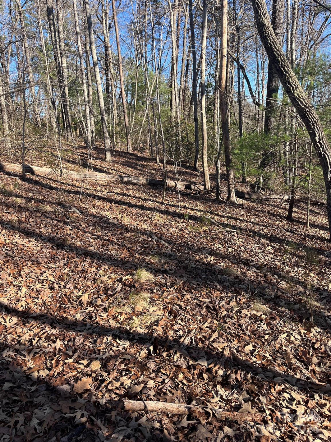 0 Sparrows Way #68 - Photo 3