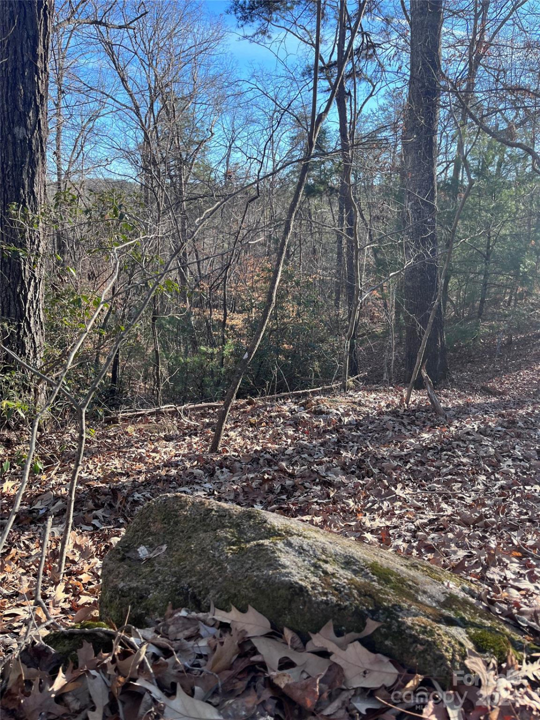 0 Sparrows Way #68 - Photo 4