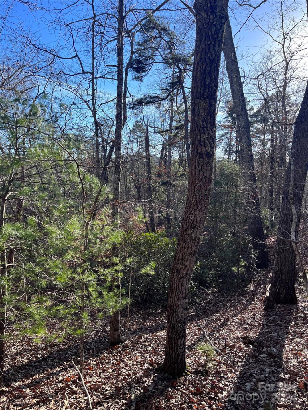 0 Sparrows Way #68 - Photo 5