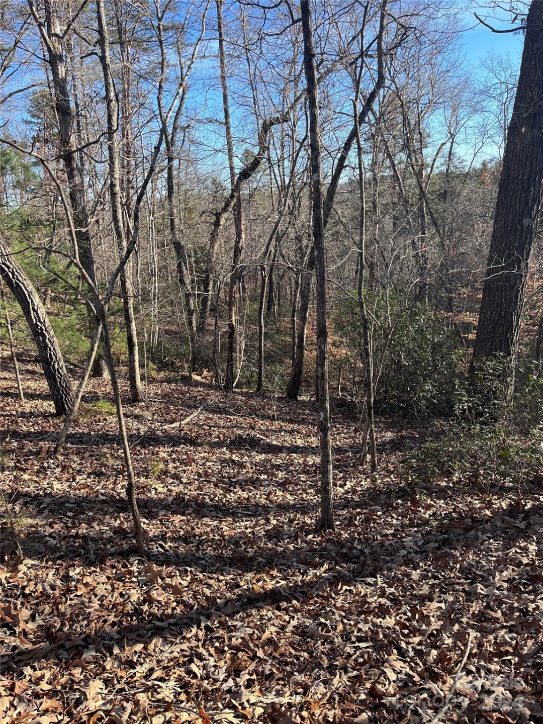 0 Sparrows Way #68 - Photo 6