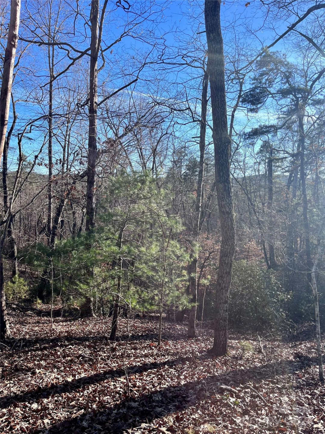 0 Sparrows Way #68 - Photo 7