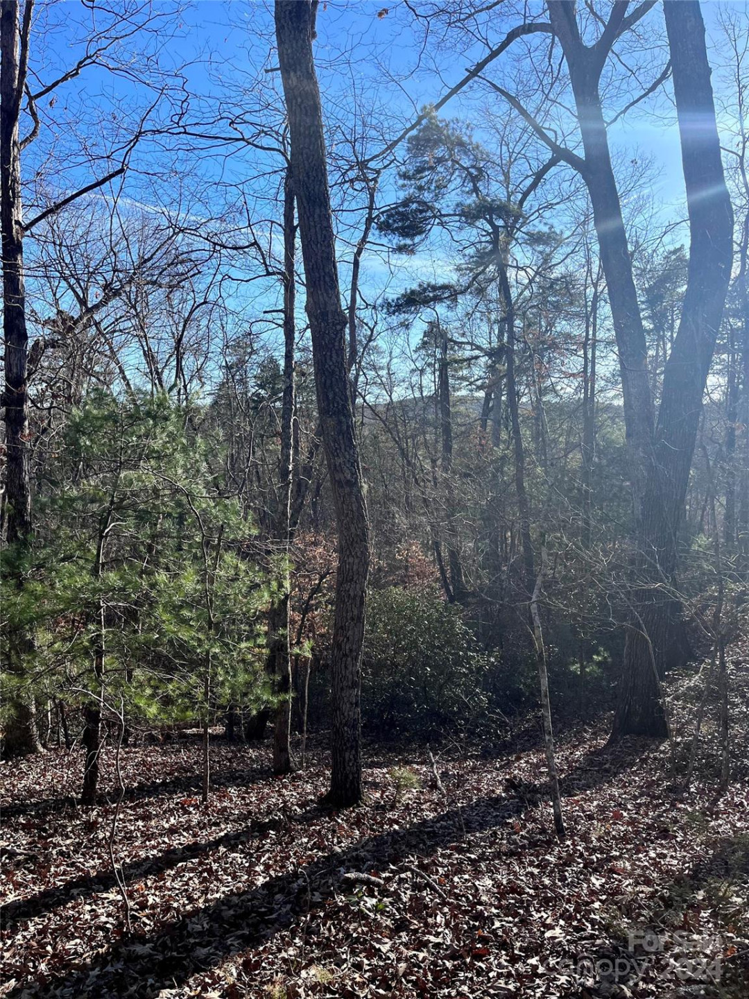 0 Sparrows Way #68 - Photo 8