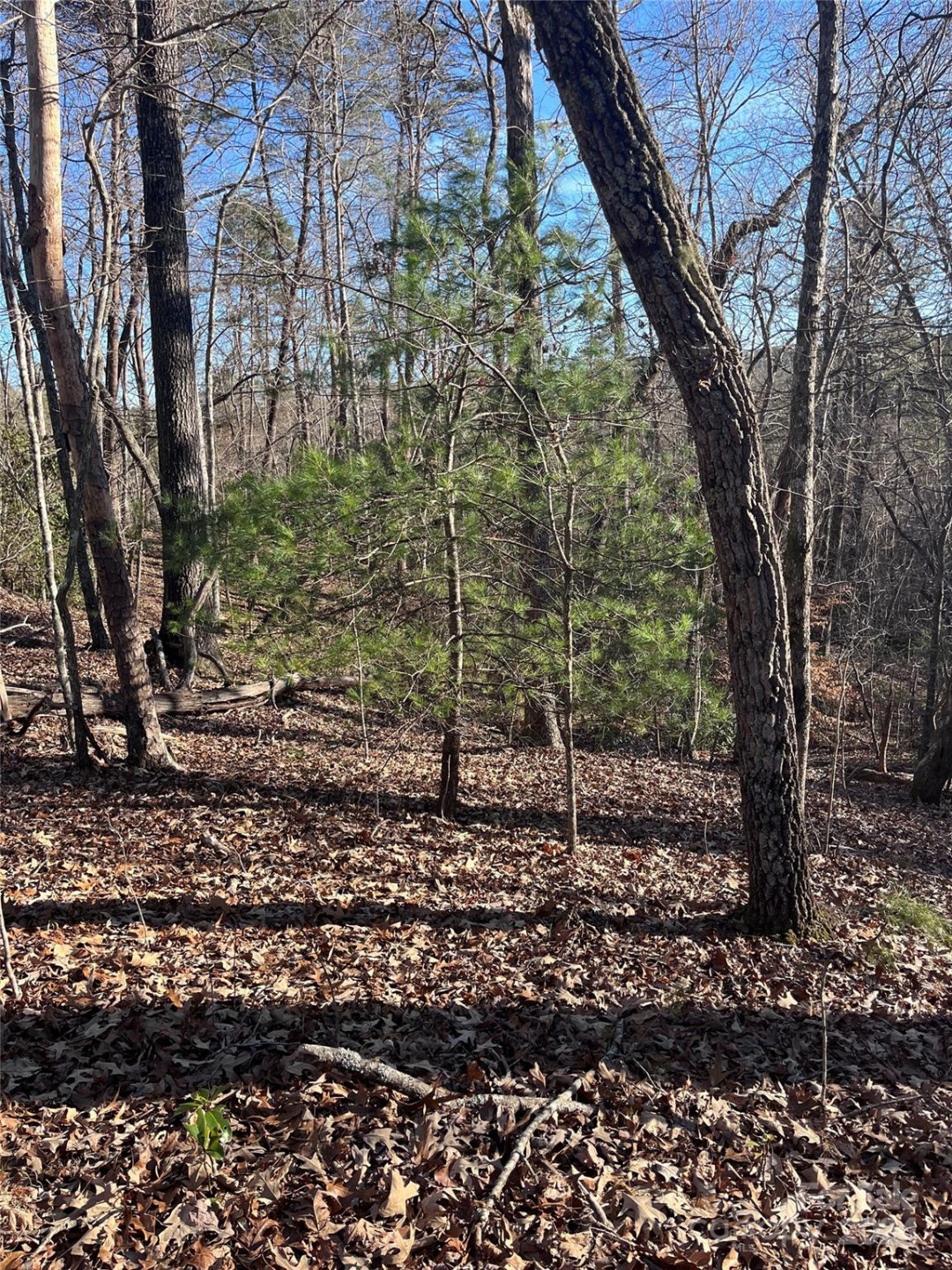 0 Sparrows Way #68 - Photo 9