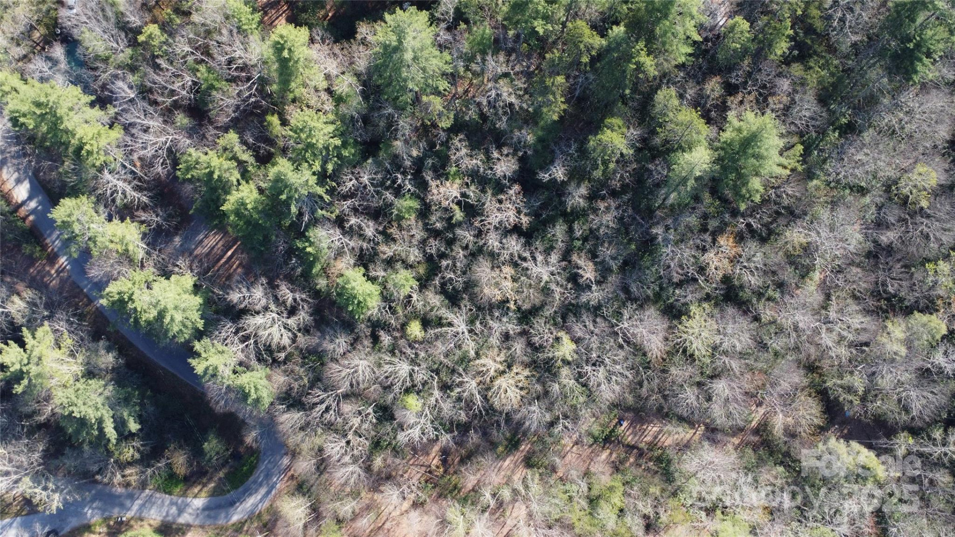 217 Oak Ridge Road - Photo 2