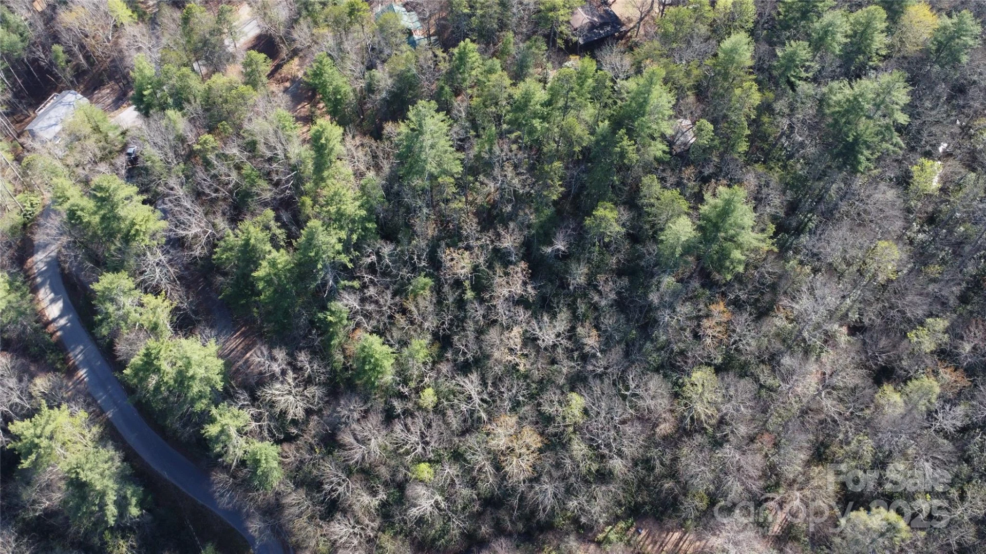 217 Oak Ridge Road - Photo 3
