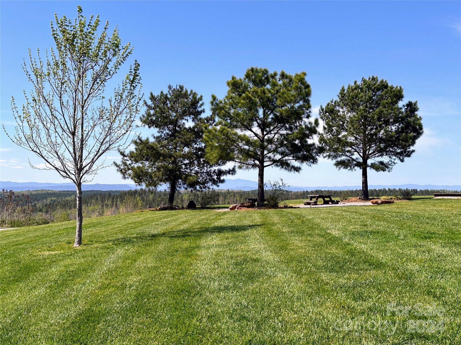 234 Settings Boulevard #67 - Photo 12