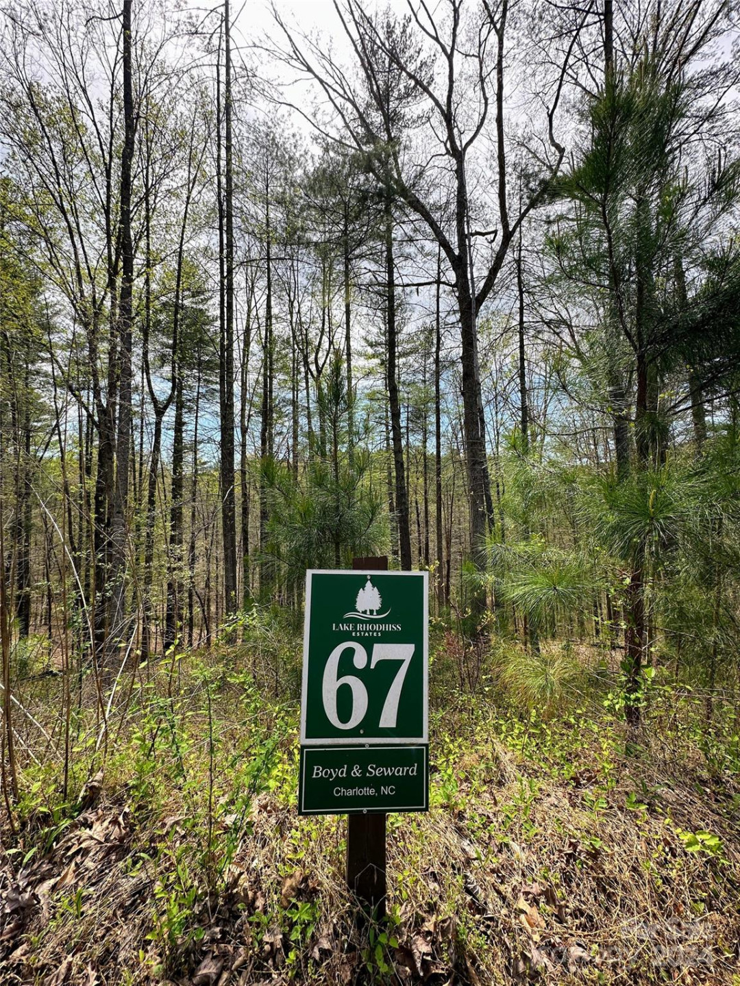 234 Settings Boulevard #67 - Photo 4