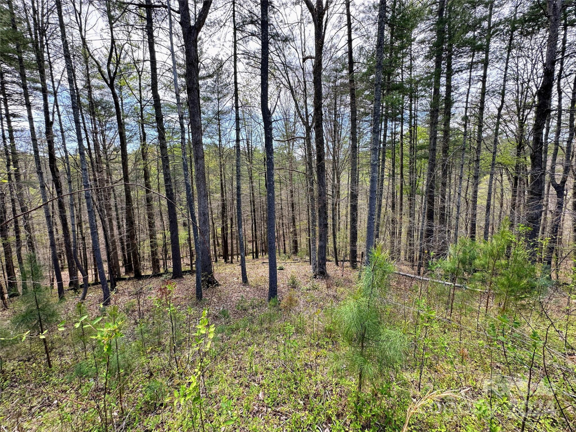 234 Settings Boulevard #67 - Photo 5