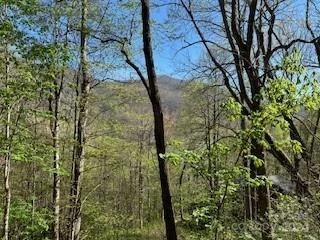 7A Chestnut Flats Lane #7