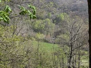 7A Chestnut Flats Lane #7 - Photo 3
