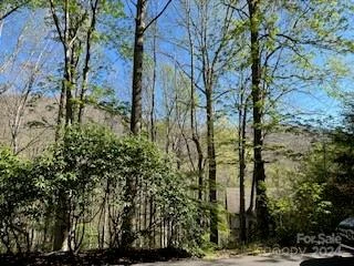 7A Chestnut Flats Lane #7 - Photo 4