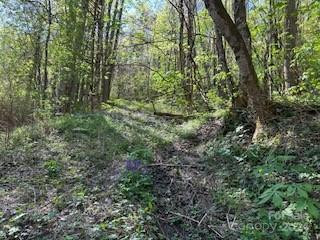 7A Chestnut Flats Lane #7 - Photo 7