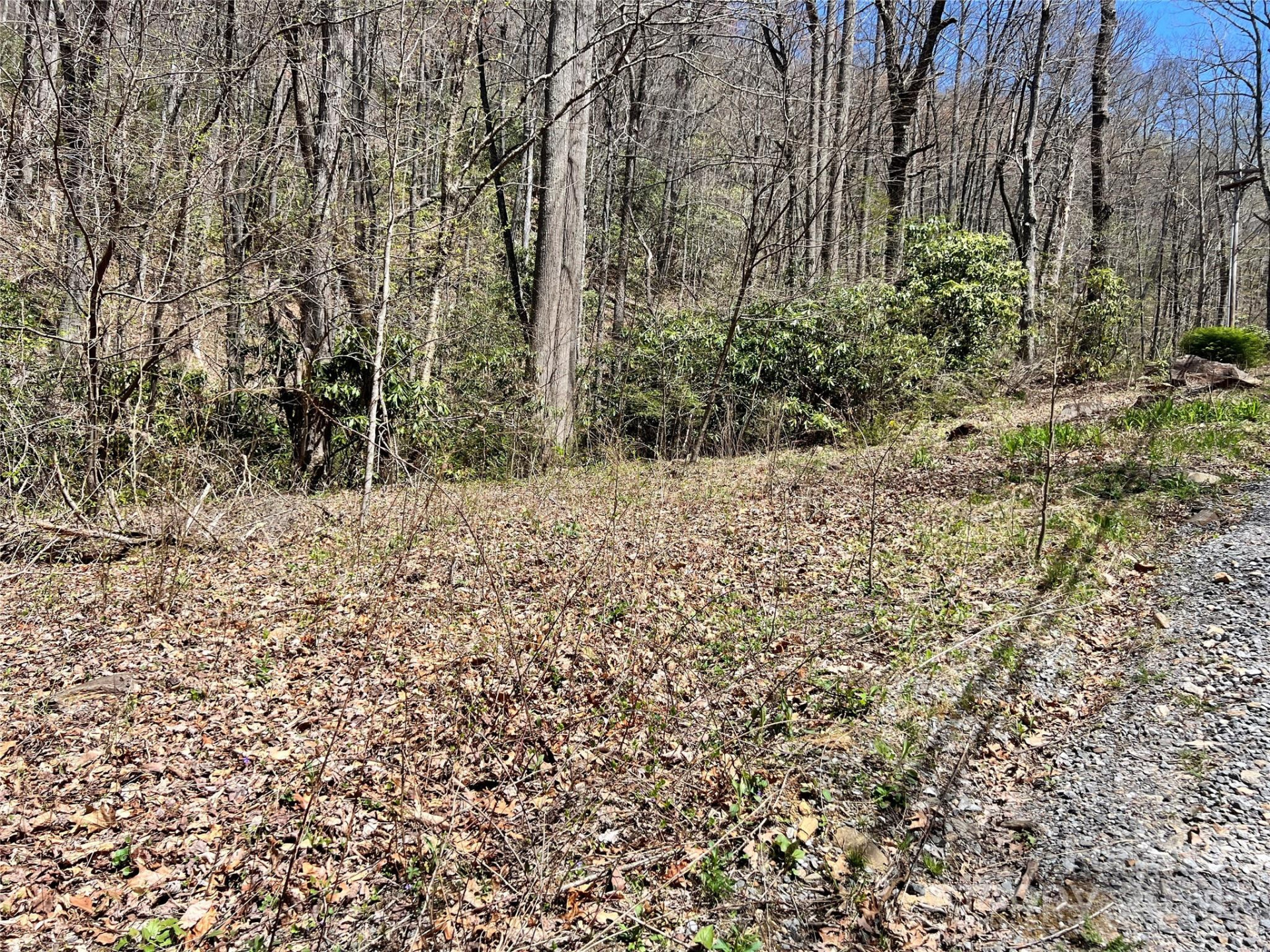 000 Pisgah Mountain Road - Photo 2