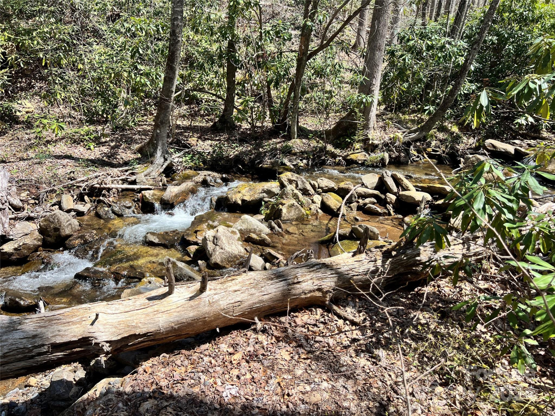 000 Pisgah Mountain Road - Photo 5