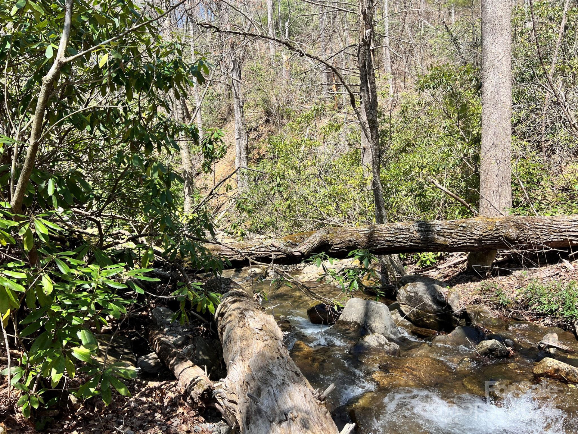 000 Pisgah Mountain Road - Photo 6