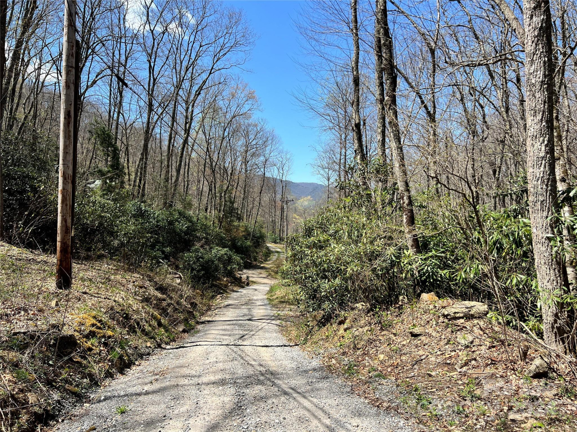 000 Pisgah Mountain Road - Photo 7