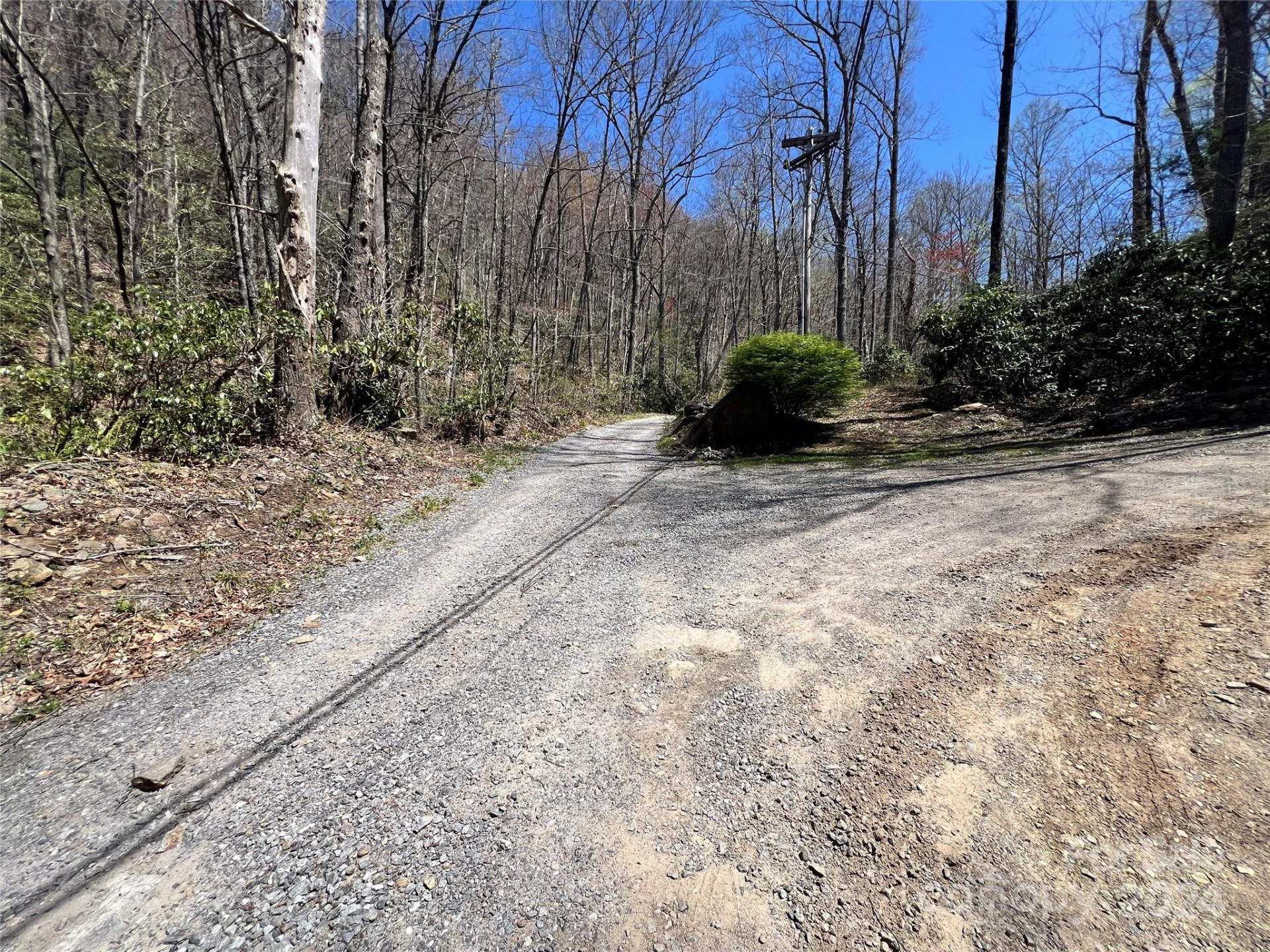 000 Pisgah Mountain Road - Photo 8