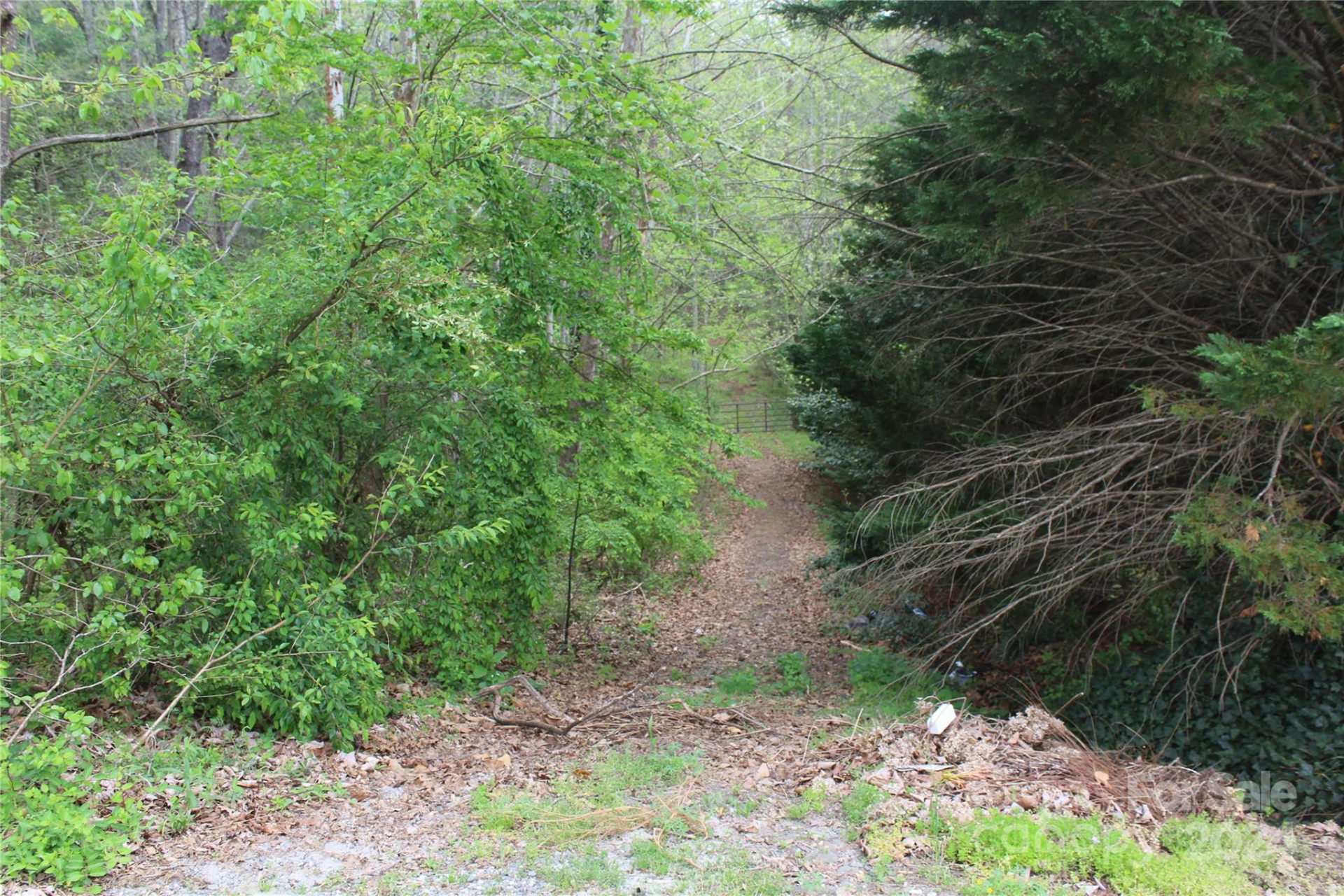 350 Sycamore Avenue #6 & 2 - Photo 2