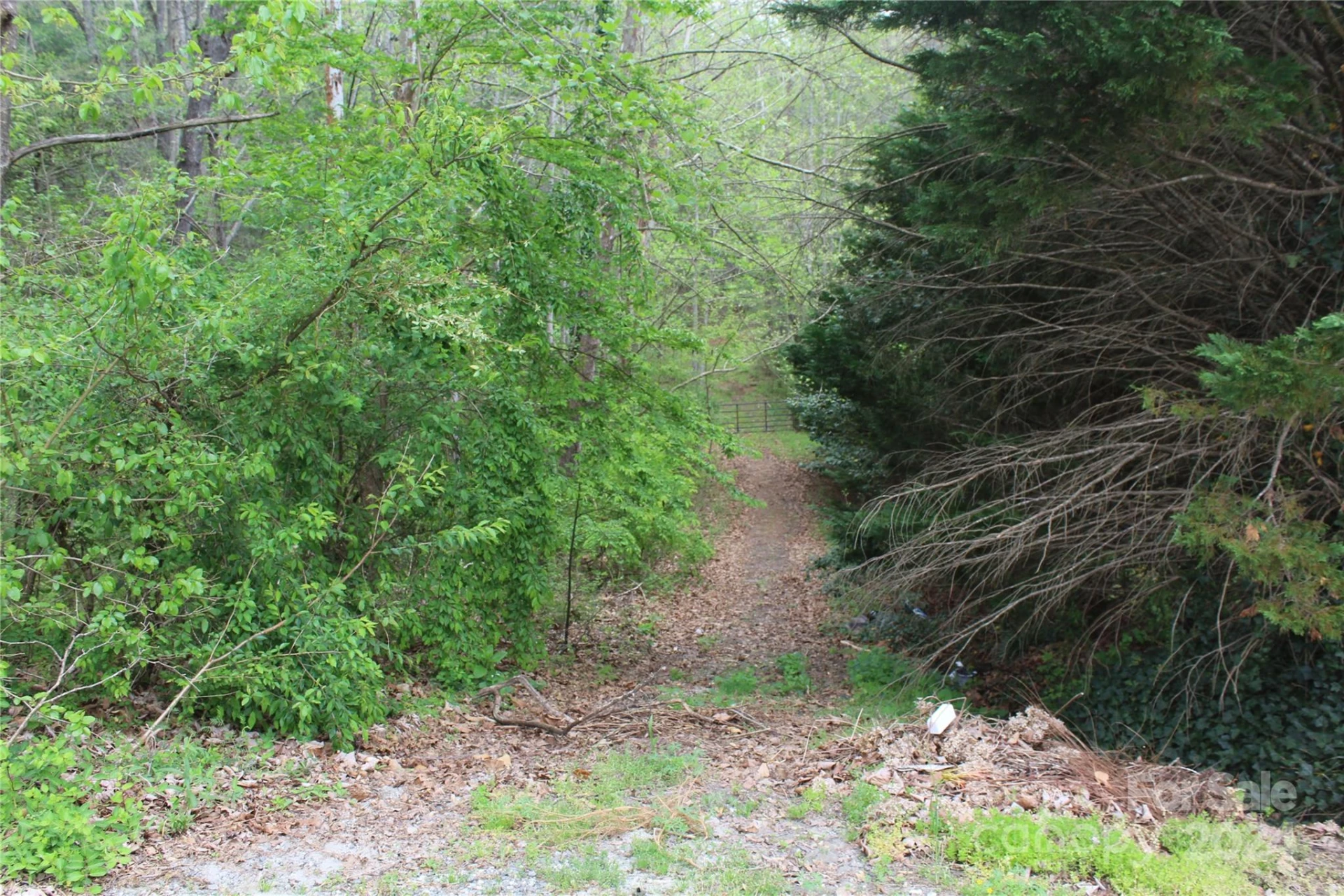 350 Sycamore Avenue #6 & 2 - Photo 2
