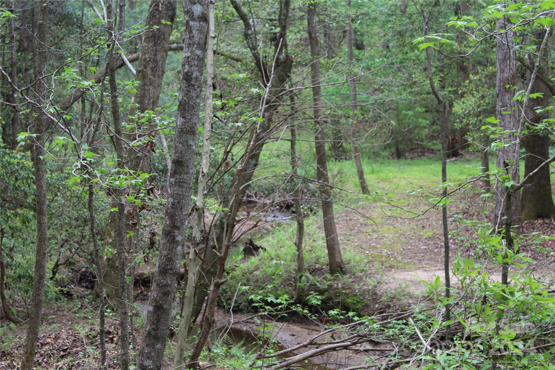 350 Sycamore Avenue #6 & 2 - Photo 11