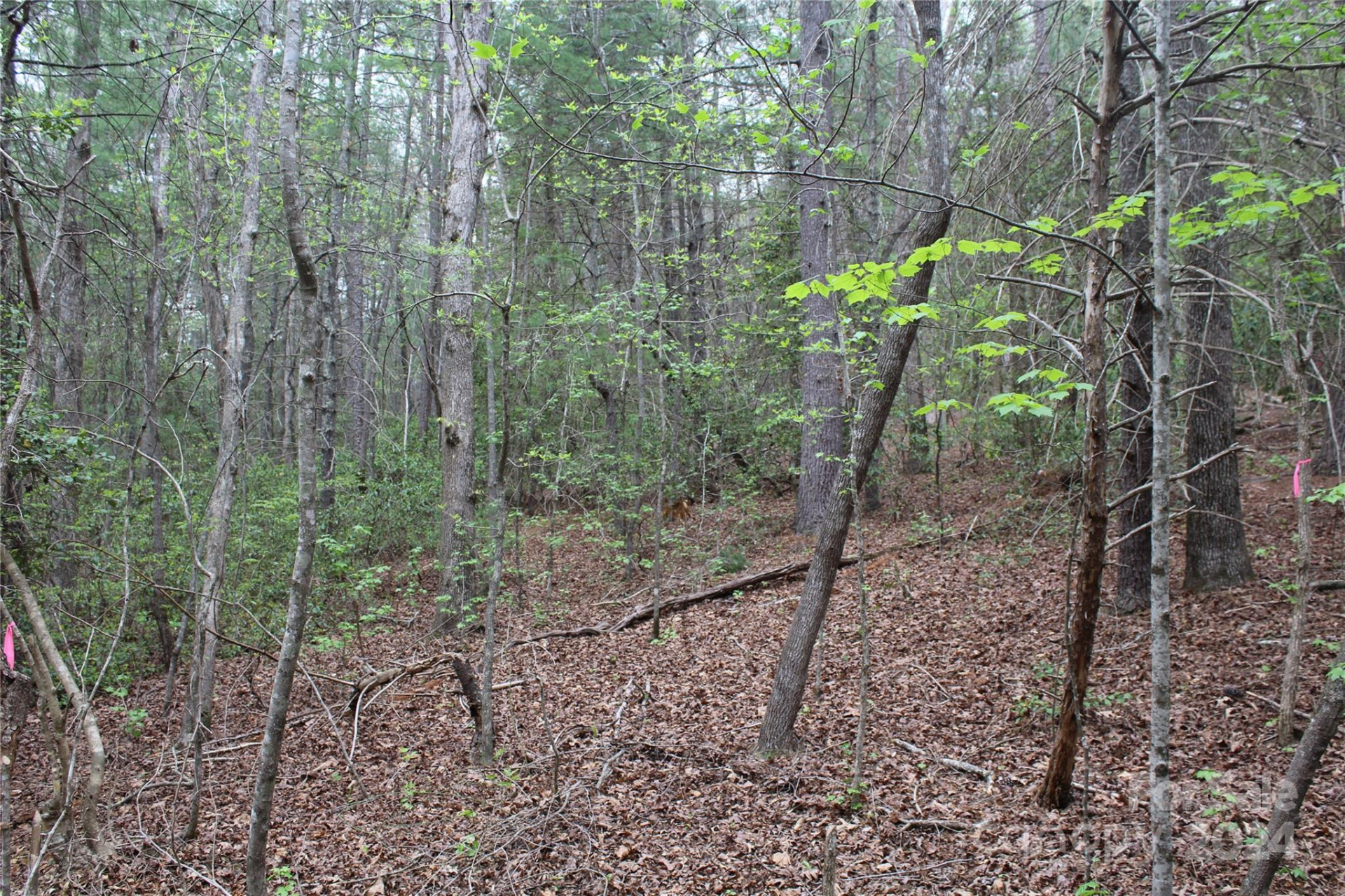 350 Sycamore Avenue #6 & 2 - Photo 12