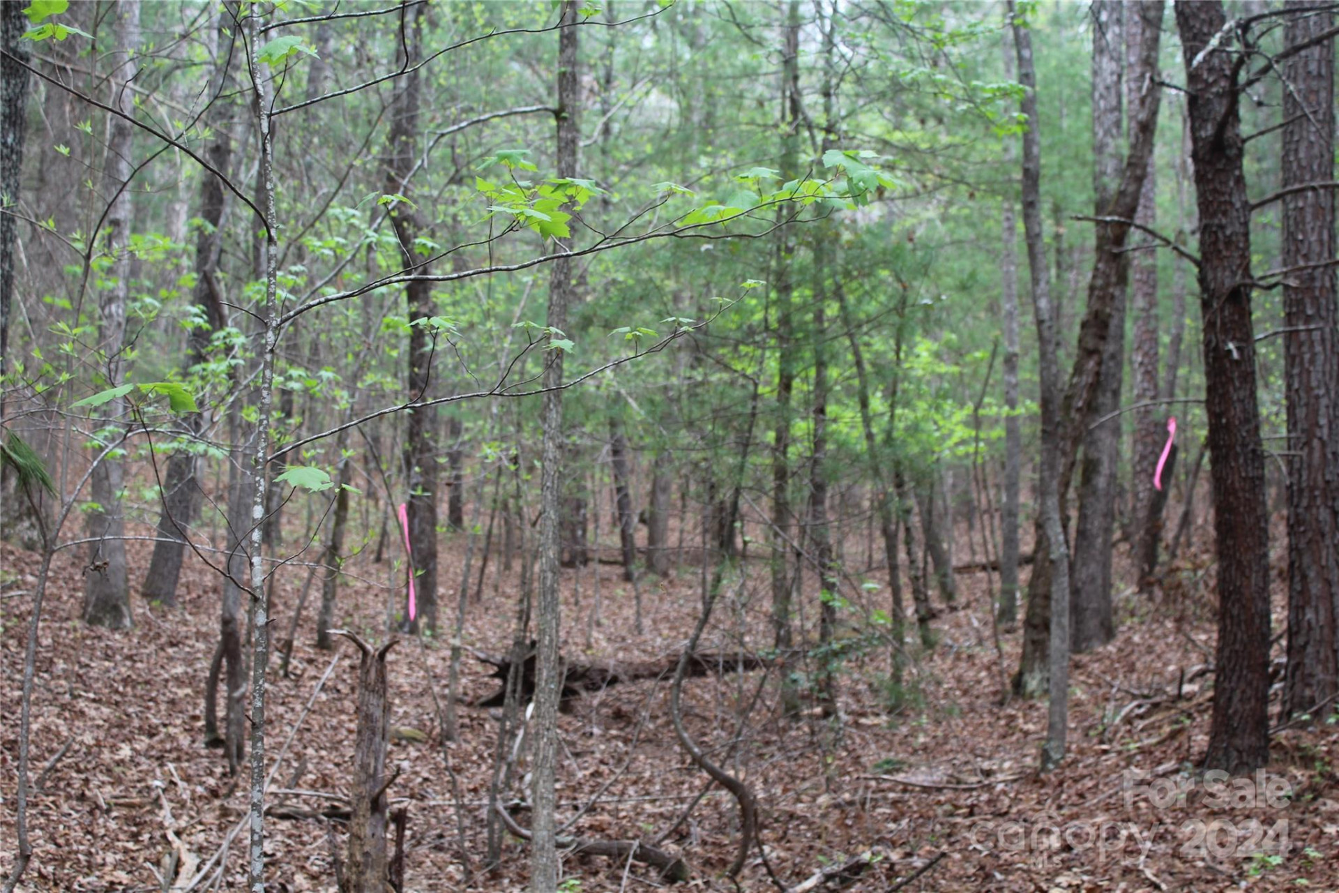 350 Sycamore Avenue #6 & 2 - Photo 13