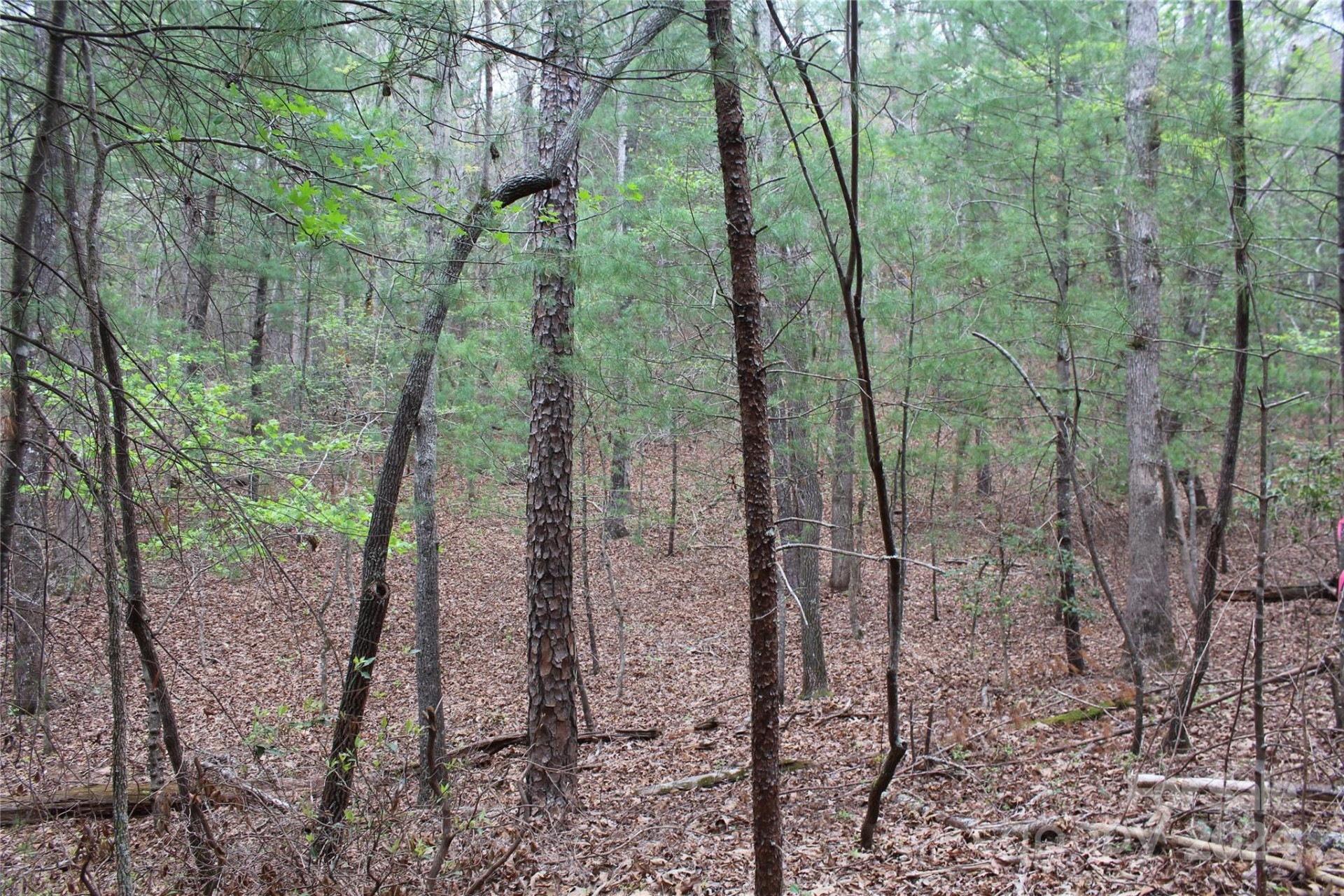 350 Sycamore Avenue #6 & 2 - Photo 14