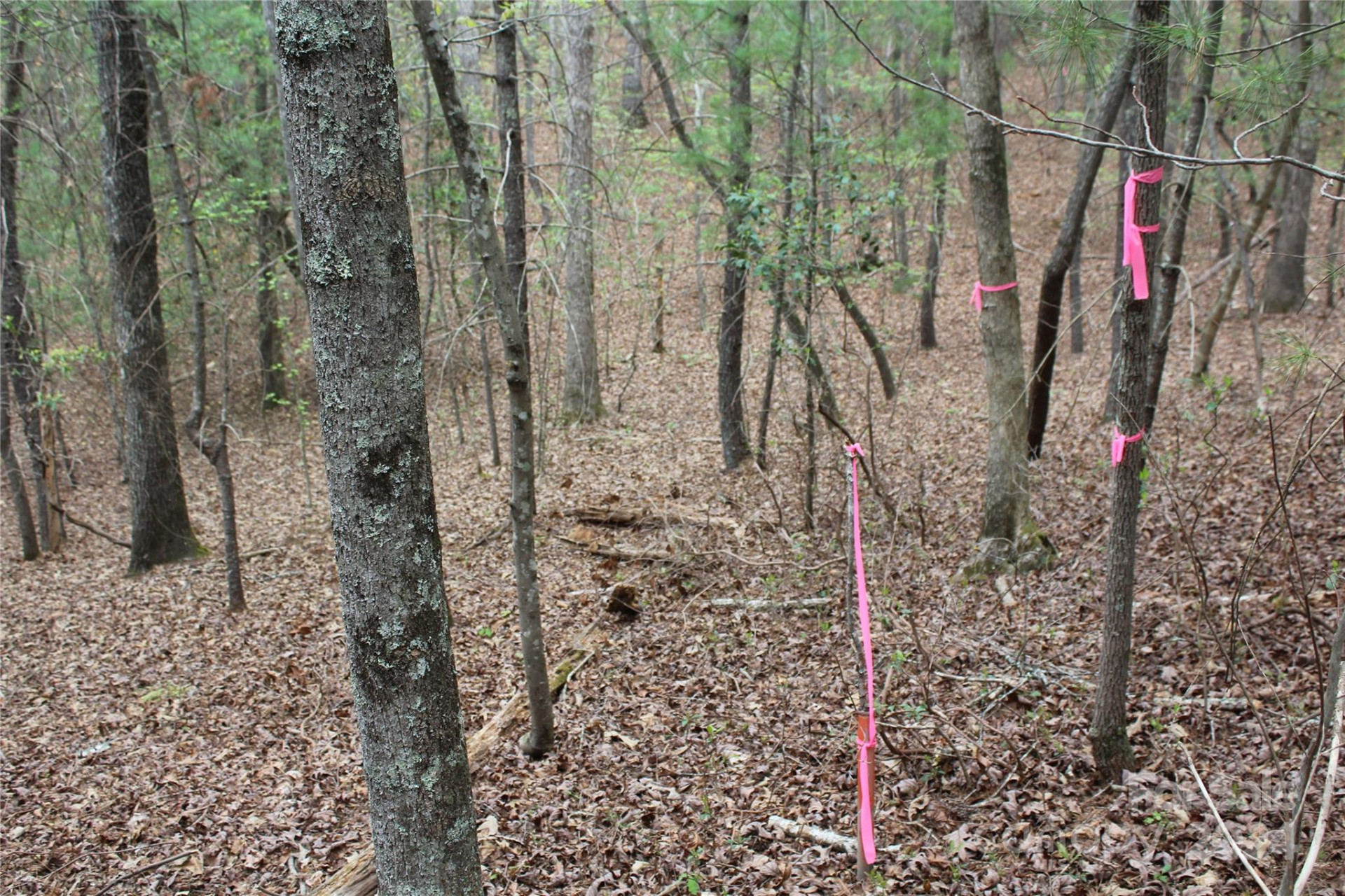 350 Sycamore Avenue #6 & 2 - Photo 15