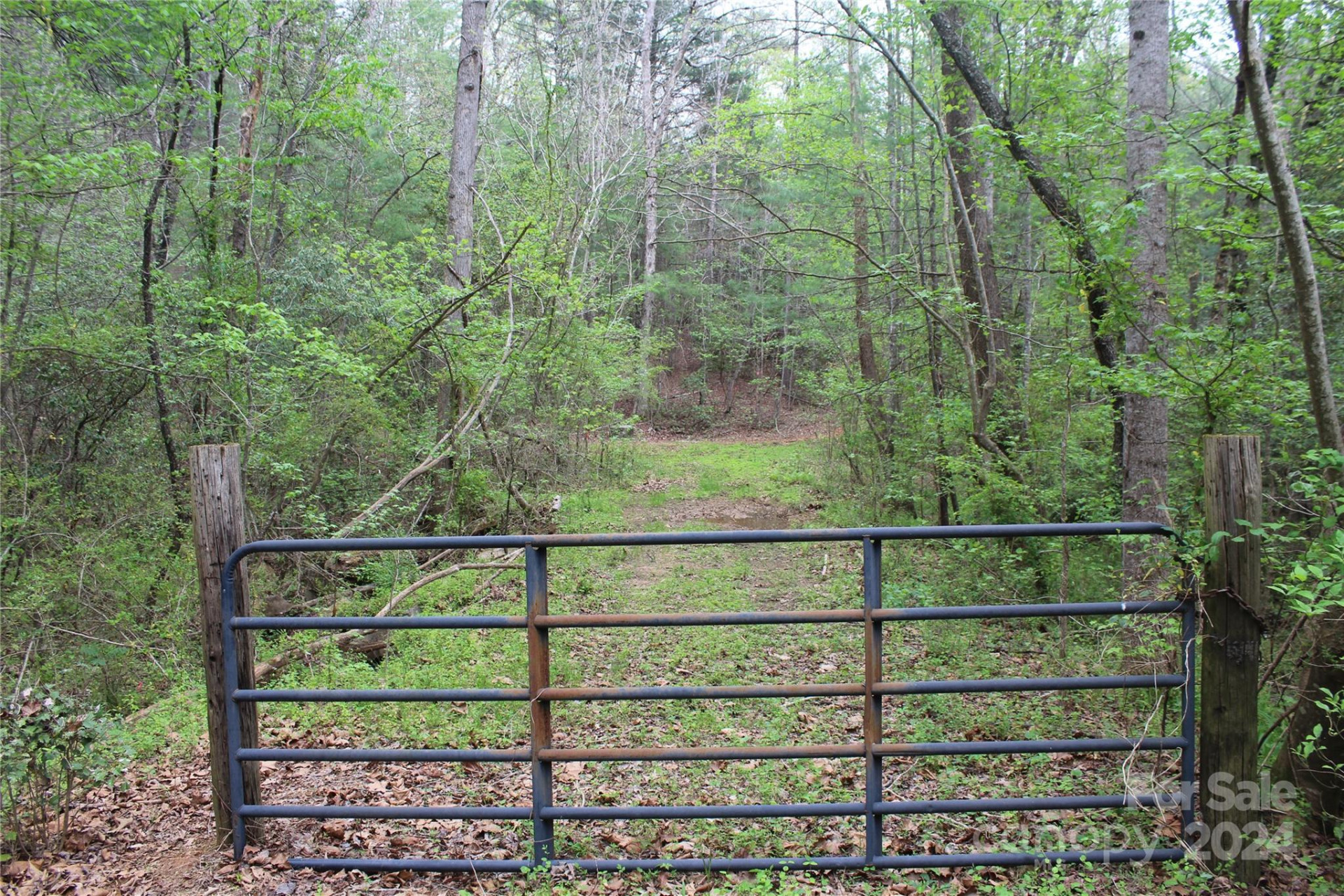 350 Sycamore Avenue #6 & 2 - Photo 3