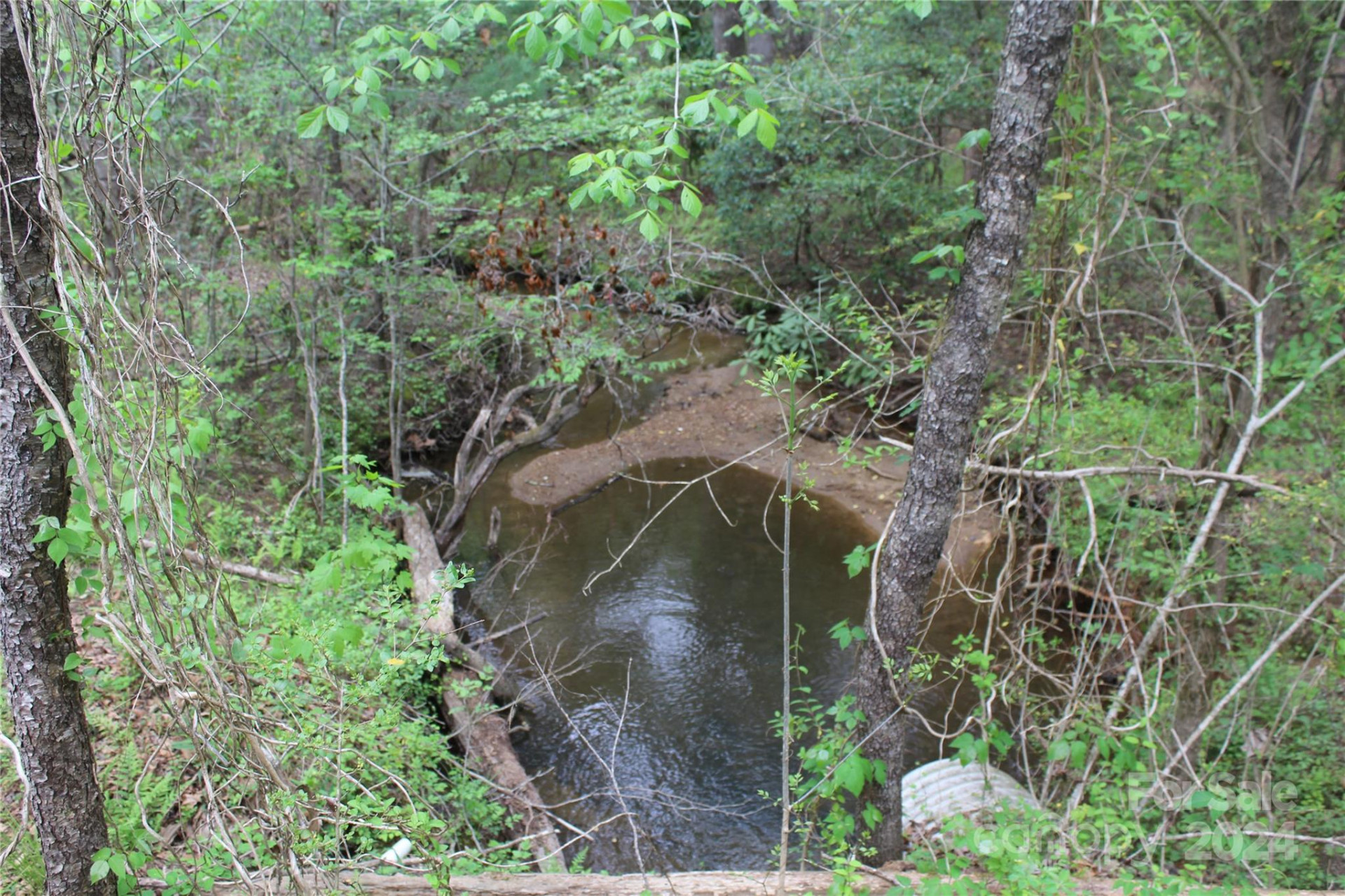 350 Sycamore Avenue #6 & 2 - Photo 4